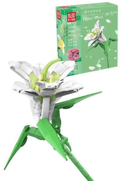 Lily 24001