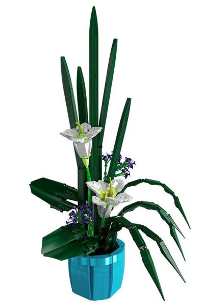 Lilien im Topf 10023