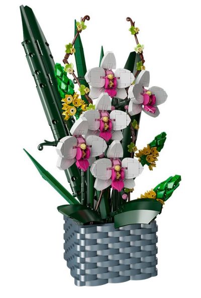 Orchideen im Topf 10025